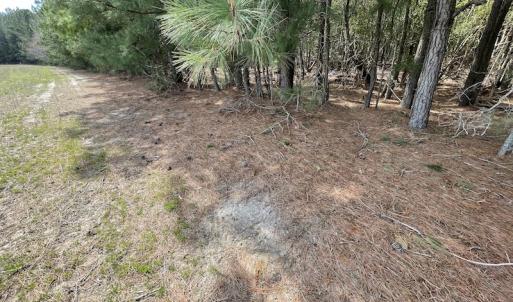 Photo #33 of Off Mini Road, Onley, VA 119.4 acres