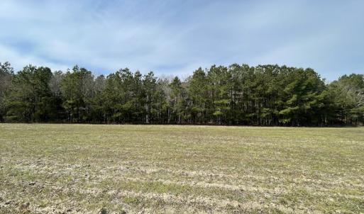 Photo #34 of Off Mini Road, Onley, VA 119.4 acres