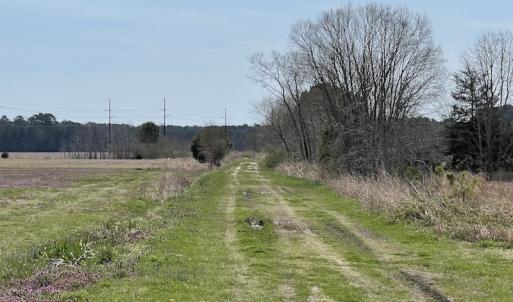 Photo #35 of Off Mini Road, Onley, VA 119.4 acres