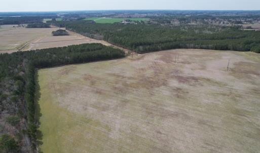 Photo #4 of Off Mini Road, Onley, VA 119.4 acres
