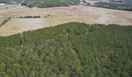 Photo #9 of Off Mini Road, Onley, VA 119.4 acres
