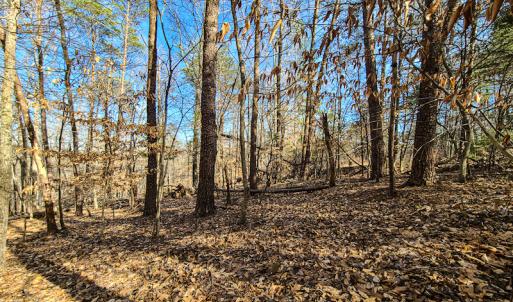 Photo #3 of Off Slow Water Court, Sandy Level, VA 10.6 acres