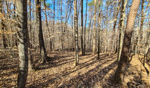Photo #4 of Off Slow Water Court, Sandy Level, VA 10.6 acres