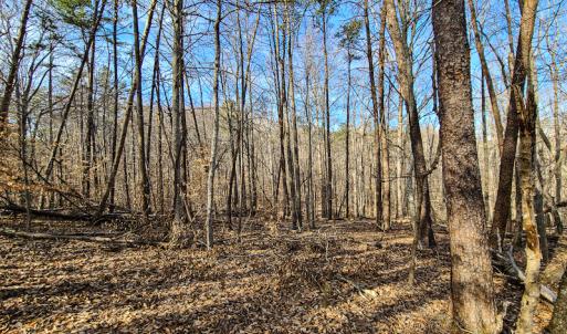 Photo #6 of Off Slow Water Court, Sandy Level, VA 10.6 acres