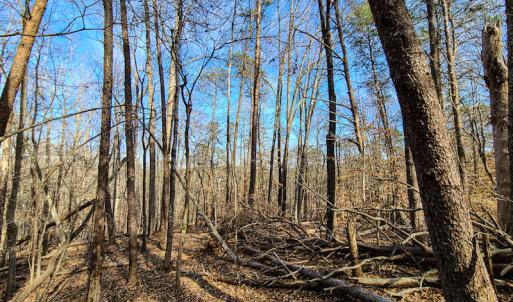 Photo #7 of Off Slow Water Court, Sandy Level, VA 10.6 acres