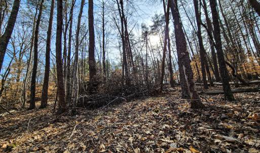 Photo #8 of Off Slow Water Court, Sandy Level, VA 10.6 acres