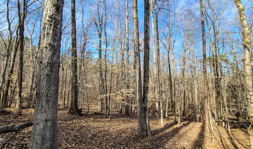 Photo #9 of Off Slow Water Court, Sandy Level, VA 10.6 acres