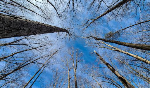 Photo #11 of Off Slow Water Court, Sandy Level, VA 10.6 acres