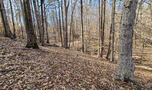 Photo #12 of Off Slow Water Court, Sandy Level, VA 10.6 acres