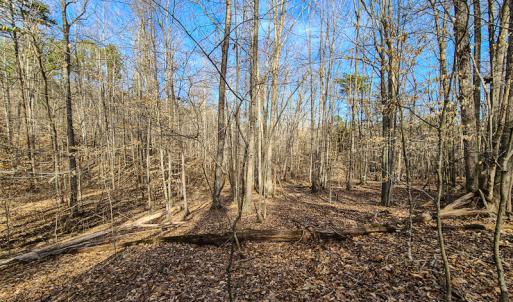 Photo #13 of Off Slow Water Court, Sandy Level, VA 10.6 acres