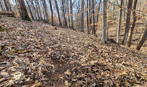 Photo #14 of Off Slow Water Court, Sandy Level, VA 10.6 acres