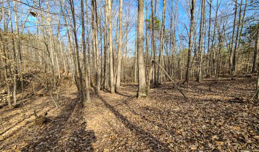 Photo #15 of Off Slow Water Court, Sandy Level, VA 10.6 acres