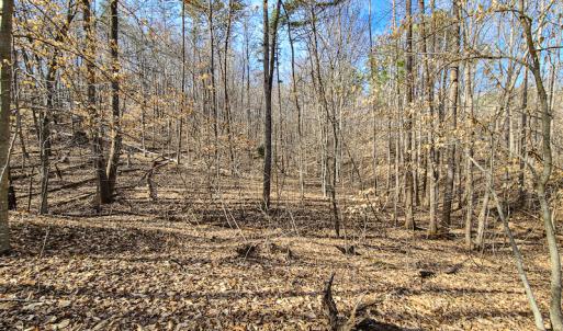 Photo #16 of Off Slow Water Court, Sandy Level, VA 10.6 acres