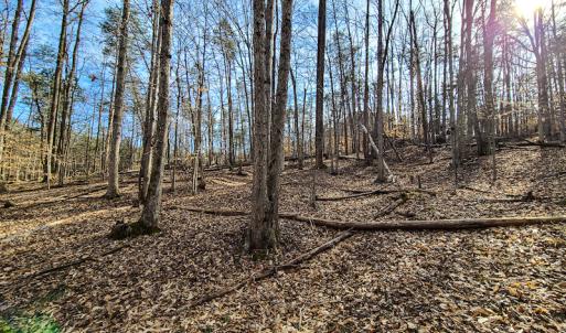 Photo #17 of Off Slow Water Court, Sandy Level, VA 10.6 acres