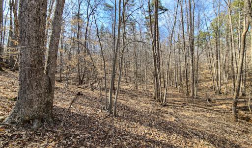 Photo #18 of Off Slow Water Court, Sandy Level, VA 10.6 acres