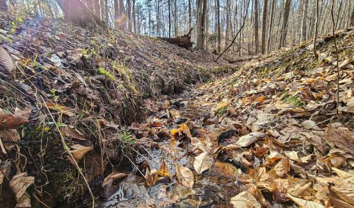 Photo #19 of Off Slow Water Court, Sandy Level, VA 10.6 acres