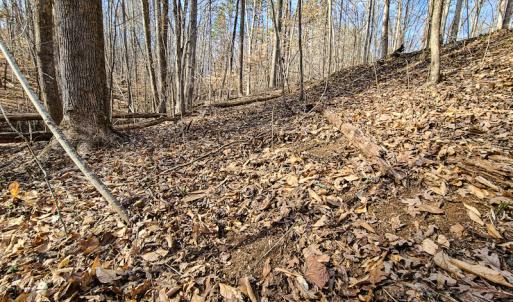 Photo #20 of Off Slow Water Court, Sandy Level, VA 10.6 acres