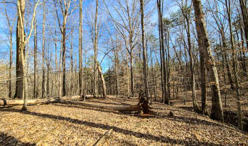 Photo #21 of Off Slow Water Court, Sandy Level, VA 10.6 acres