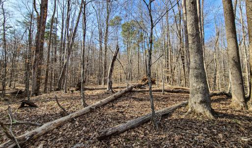 Photo #22 of Off Slow Water Court, Sandy Level, VA 10.6 acres