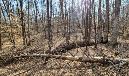 Photo #23 of Off Slow Water Court, Sandy Level, VA 10.6 acres