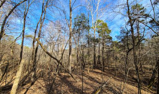 Photo #24 of Off Slow Water Court, Sandy Level, VA 10.6 acres