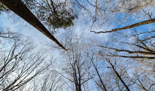 Photo #25 of Off Slow Water Court, Sandy Level, VA 10.6 acres