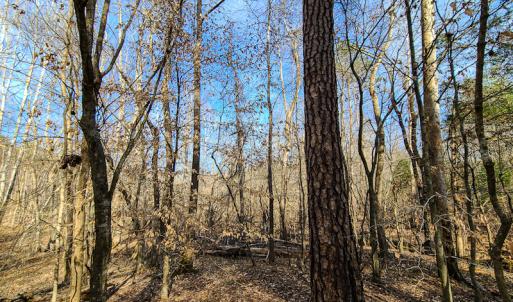 Photo #26 of Off Slow Water Court, Sandy Level, VA 10.6 acres
