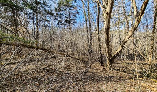 Photo #27 of Off Slow Water Court, Sandy Level, VA 10.6 acres