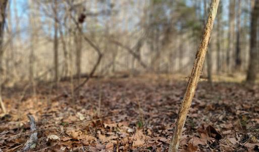 Photo #28 of Off Slow Water Court, Sandy Level, VA 10.6 acres