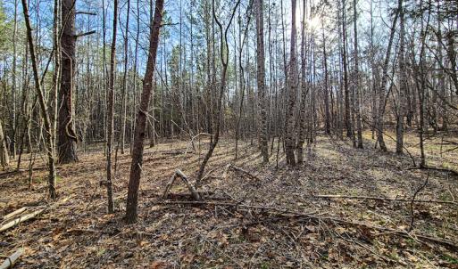Photo #29 of Off Slow Water Court, Sandy Level, VA 10.6 acres