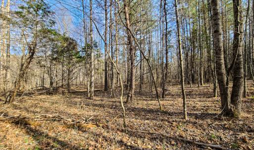 Photo #30 of Off Slow Water Court, Sandy Level, VA 10.6 acres