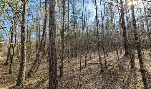 Photo #31 of Off Slow Water Court, Sandy Level, VA 10.6 acres
