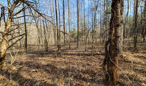 Photo #32 of Off Slow Water Court, Sandy Level, VA 10.6 acres