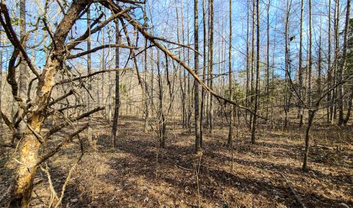 Photo #33 of Off Slow Water Court, Sandy Level, VA 10.6 acres
