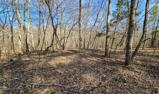 Photo #34 of Off Slow Water Court, Sandy Level, VA 10.6 acres