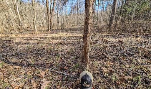Photo #35 of Off Slow Water Court, Sandy Level, VA 10.6 acres