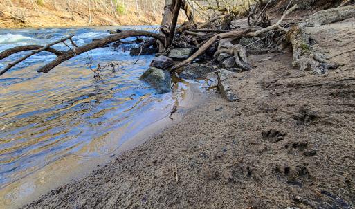 Photo #45 of Off Slow Water Court, Sandy Level, VA 10.6 acres