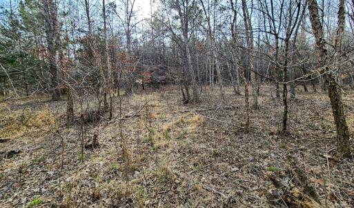 Photo #47 of Off Slow Water Court, Sandy Level, VA 10.6 acres