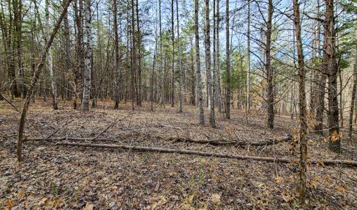 Photo #50 of Off Slow Water Court, Sandy Level, VA 10.6 acres