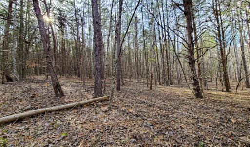 Photo #51 of Off Slow Water Court, Sandy Level, VA 10.6 acres