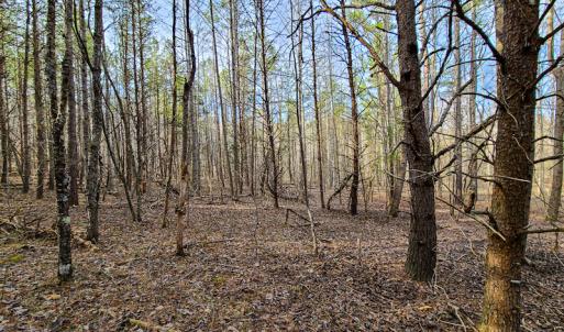 Photo #52 of Off Slow Water Court, Sandy Level, VA 10.6 acres