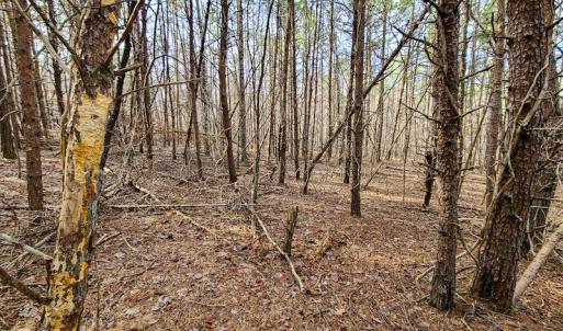 Photo #54 of Off Slow Water Court, Sandy Level, VA 10.6 acres
