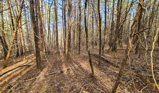 Photo #55 of Off Slow Water Court, Sandy Level, VA 10.6 acres