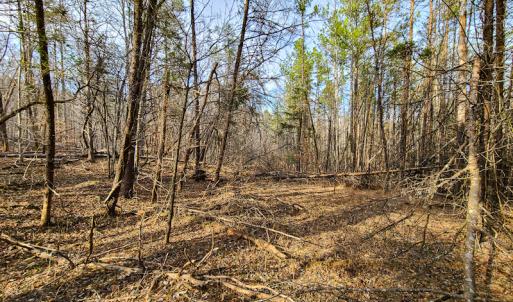 Photo #56 of Off Slow Water Court, Sandy Level, VA 10.6 acres