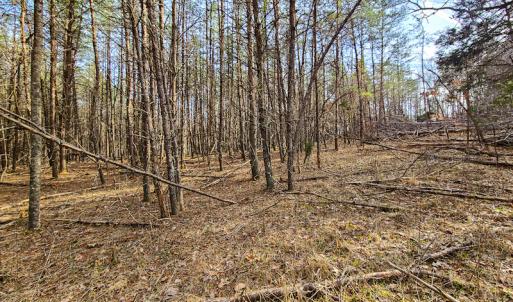 Photo #57 of Off Slow Water Court, Sandy Level, VA 10.6 acres