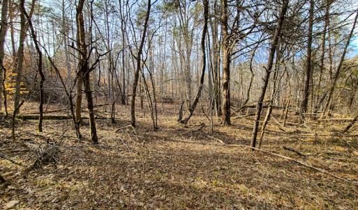 Photo #58 of Off Slow Water Court, Sandy Level, VA 10.6 acres