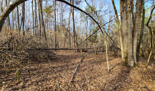 Photo #59 of Off Slow Water Court, Sandy Level, VA 10.6 acres
