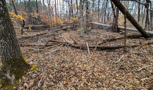 Photo #60 of Off Slow Water Court, Sandy Level, VA 10.6 acres