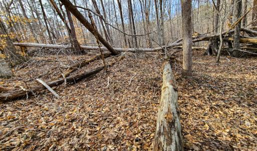 Photo #61 of Off Slow Water Court, Sandy Level, VA 10.6 acres