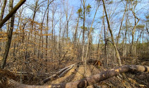 Photo #62 of Off Slow Water Court, Sandy Level, VA 10.6 acres